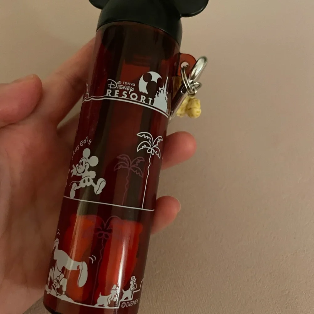 Tokyo Disney Popcorn Catcher Key Chain - Picture 5 of 8